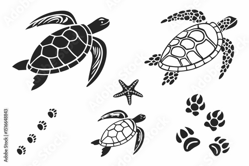 turtle