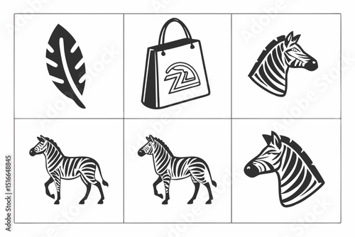 zebra