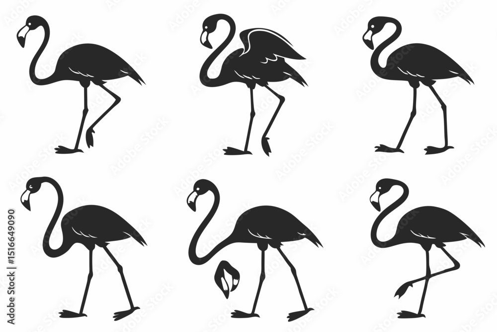 set of flamingos set of flamingos