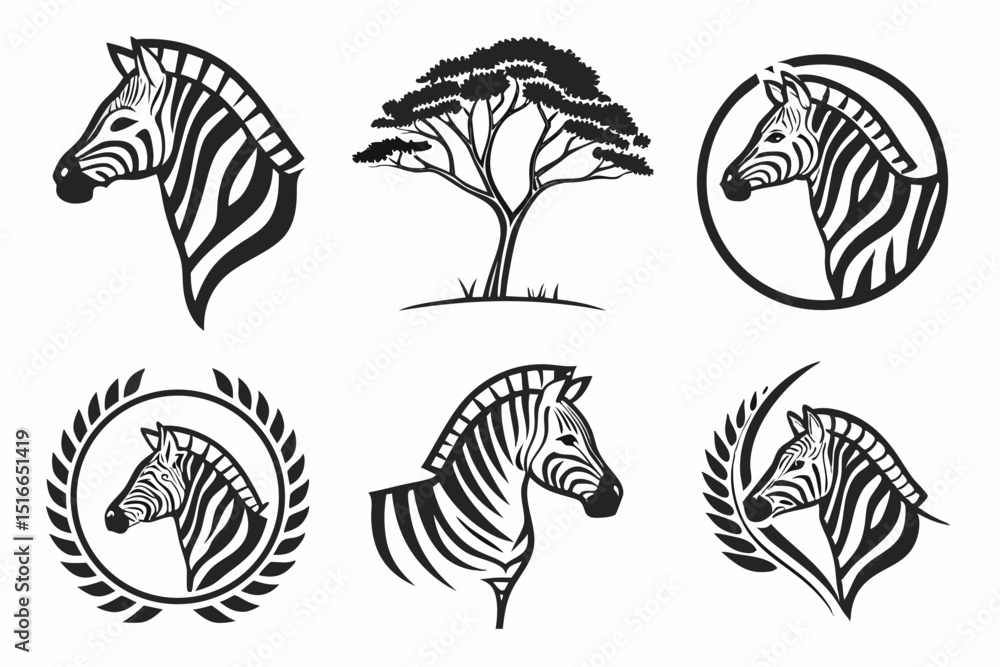 black and white animals black and white animals