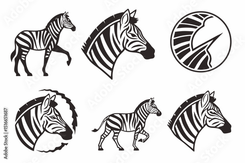 zebra