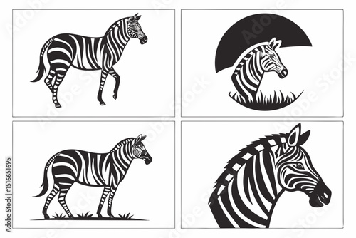 zebra