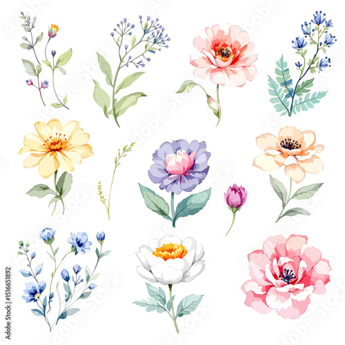 Set watercolor Flowers Clipart, wildflower clipart vector for graphic resources