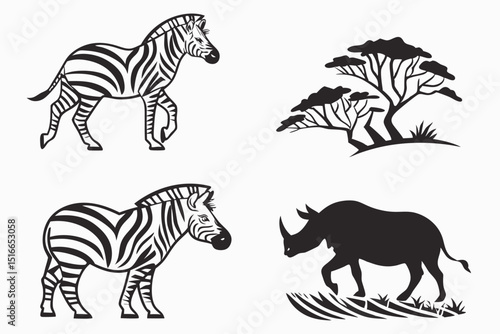 zebra