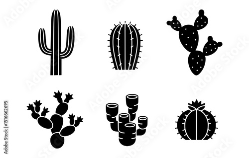 Monochrome cactus collection isolated on a neutral background