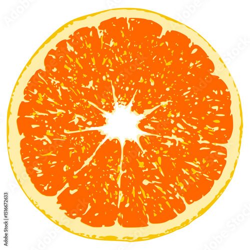Orange. A cut of a juicy ripe orange
