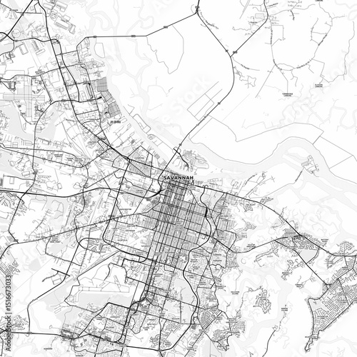 Savannah Area Map with Labels and Neighborhoods - One color, minimalistic design