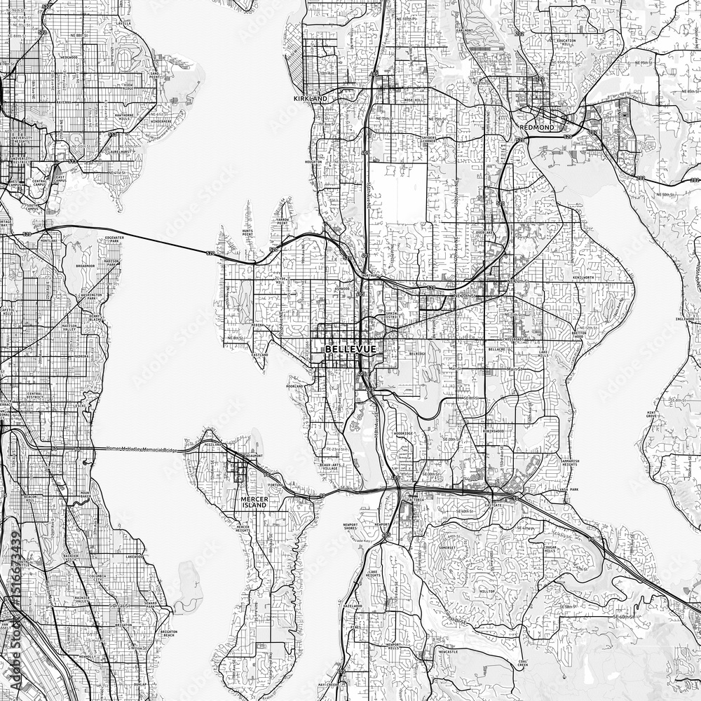 Fototapeta premium Bellevue Area Map with Labels and Neighborhoods - One color, minimalistic design