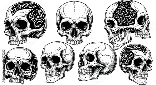 Human skull illustration set with decorative patterns in black and white
