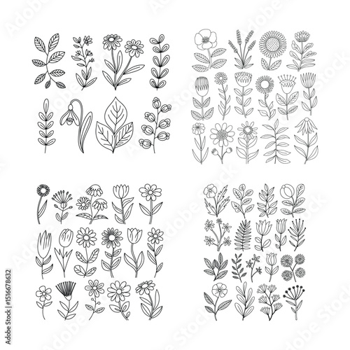 Wallpaper Mural Hand-drawn Floral Line Art Set Torontodigital.ca