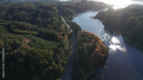 Sunlit Forest and River Curve with Road in Southern Chile