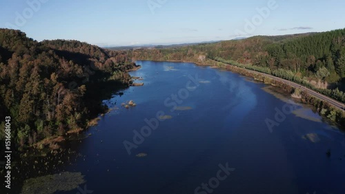 Aerial View of Serene River Flowing Through Autumn Forest in Southern Chile