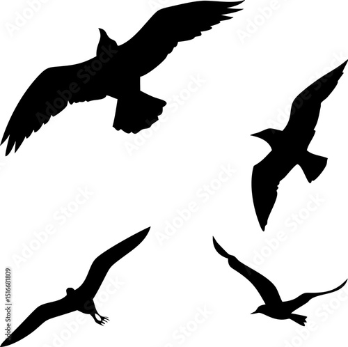 Elegant bird silhouettes vector design featuring various species in flight and perched perfect for nature themed projects and artistic compositions