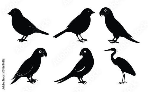 bird breeds silhouette on a white background