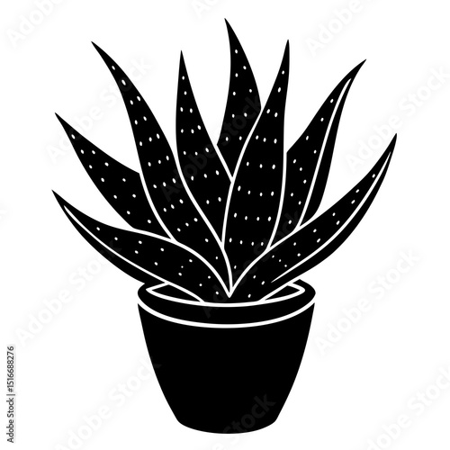 aloe vera plant