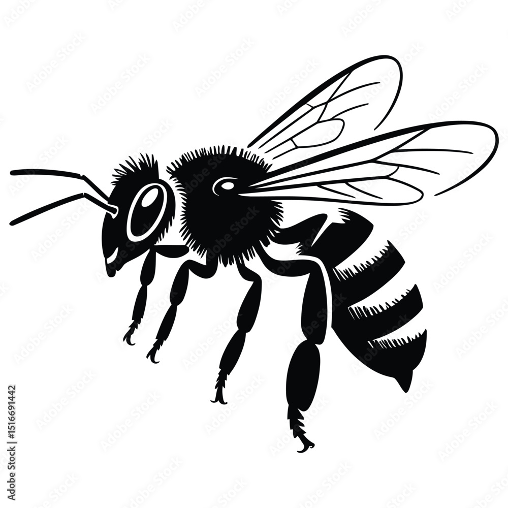 Obraz premium bee vector illustration