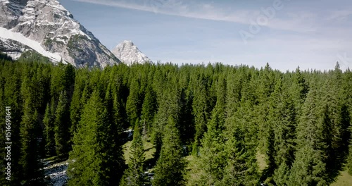 mountain landscape with trees