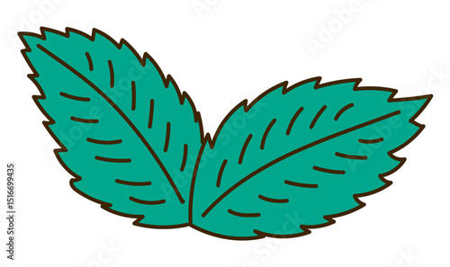 Mint leaves hand drawn illustration, isolated vector. Line art style design. Summer clip art, seasonal element, print. Cocktail garnish, beach bar, pool party. Aromatic herb, cooking, baking