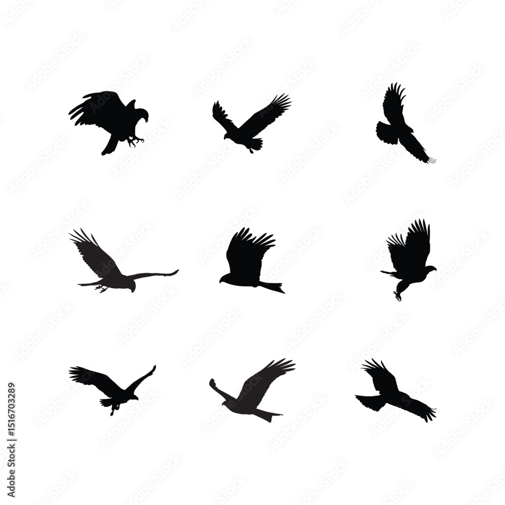 Obraz premium Collection of Eagle Silhouettes in Flight and Hunting Positions