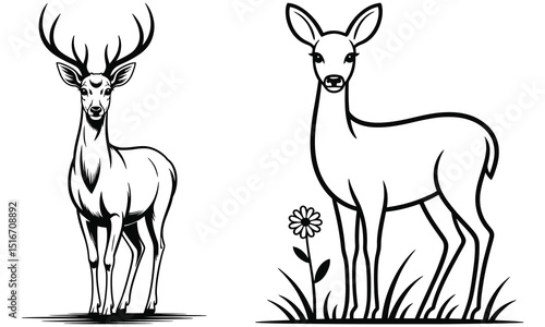 vector illustration of a deer