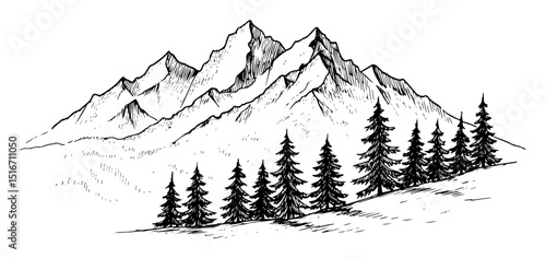 mountain landscape with pine forest drawing