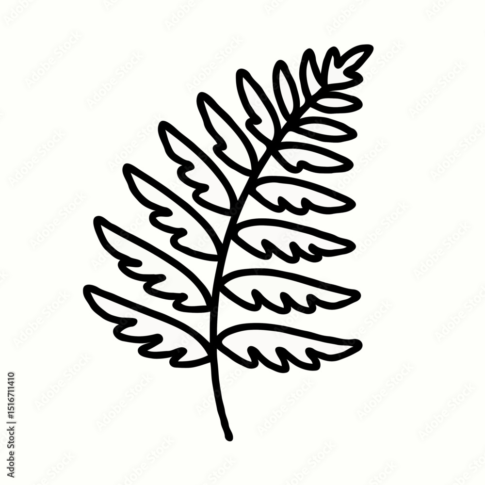 Fototapeta premium Line drawing of a fern leaf outline on a white background 