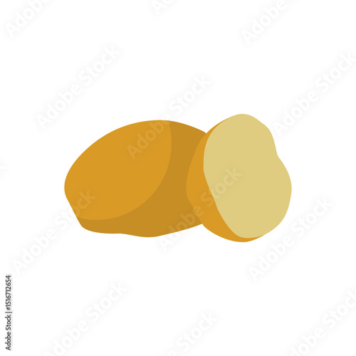 Potatoes isolated on white background. Whole root potato and half. Solanum tuberosum. Vector vegetables illustration in flat style.