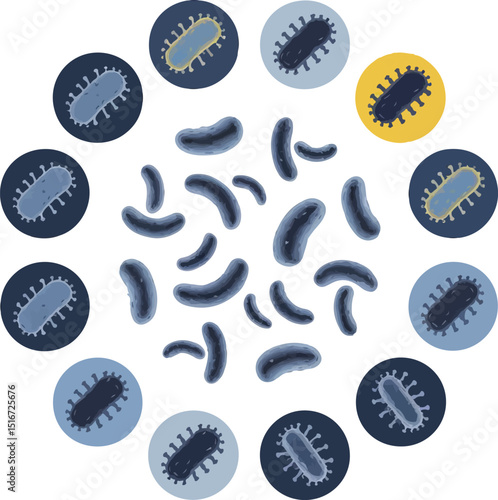Lactobacilli icons set and health with probiotics, enhancing immunity, and preventing infections with healthy food