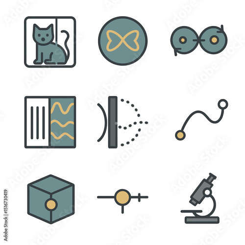 Quantum Icon Set. Flat icon set of quantum observation: Schrödinger's cat, quantum superposition, entangled