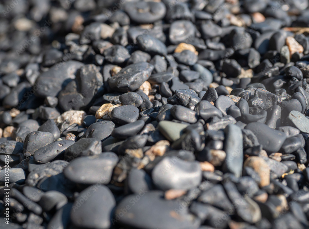 Black shungite pebbles on the beach of Lake Onega in Karelia Black shungite pebbles on the beach of Lake Onega in Karelia