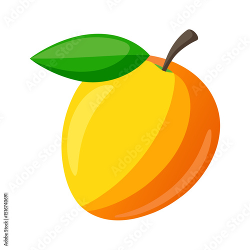 mango vector illustration
