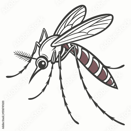 Mosquito spider and fly