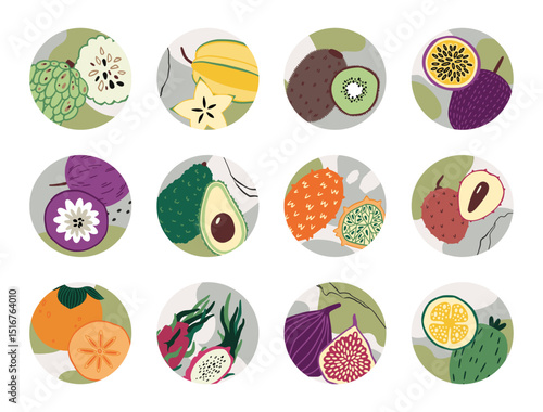 Fruits icons. Creative round stickers. Tropical fresh kiwi, dragon fruit, durian and papaya, label and emblem. Exotic product. Decorative botanical vector cartoon isolated illustration