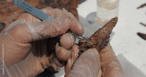 Traces of the past are coming to light! With the meticulous work of archaeologists, the rusted metal extracted from under the ground is carefully cleaned with scalpels and fine tools.