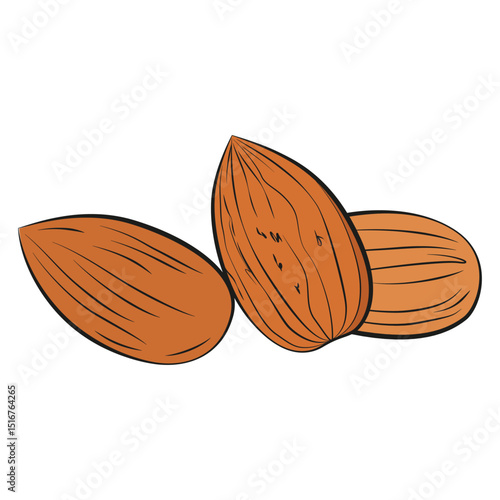 Almond nut vector illustration isolated on white background. Almonds icon in cartoon flat style. Tasty crunchy nuts. Healthy breakfast, meal, snack and desserts.