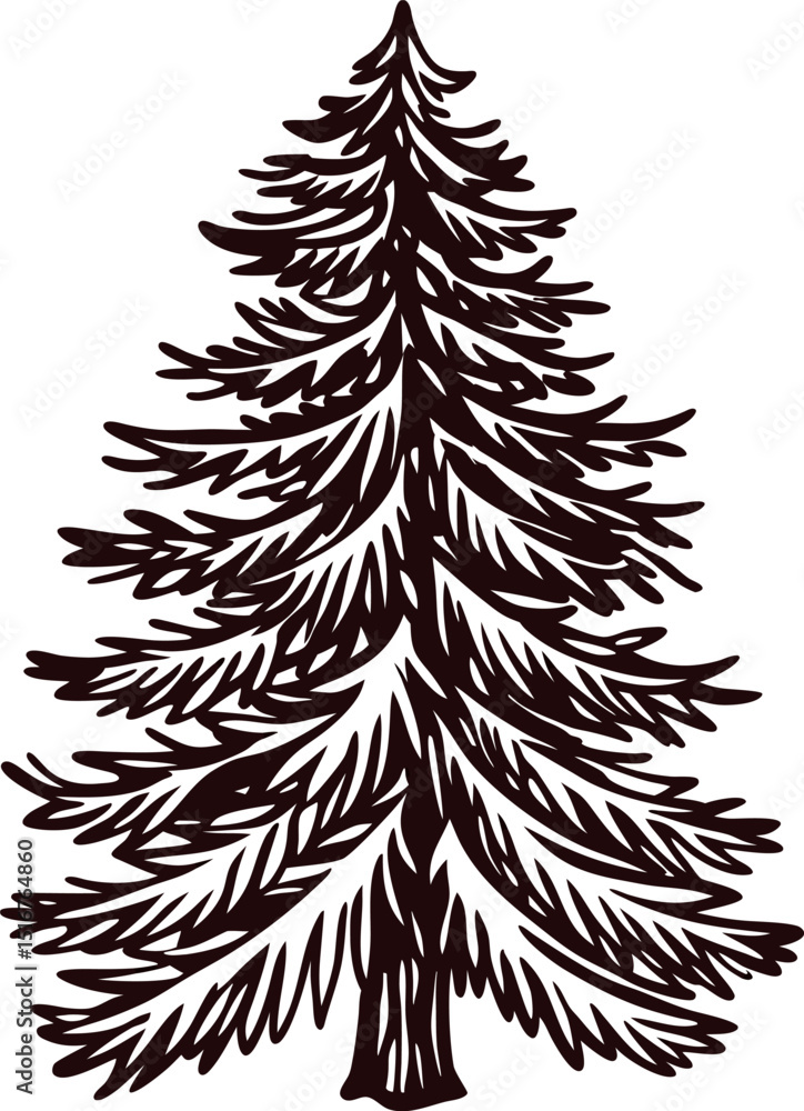Obraz premium sketch-of-a-pine-tree-with-detailed-branches---- (1).eps