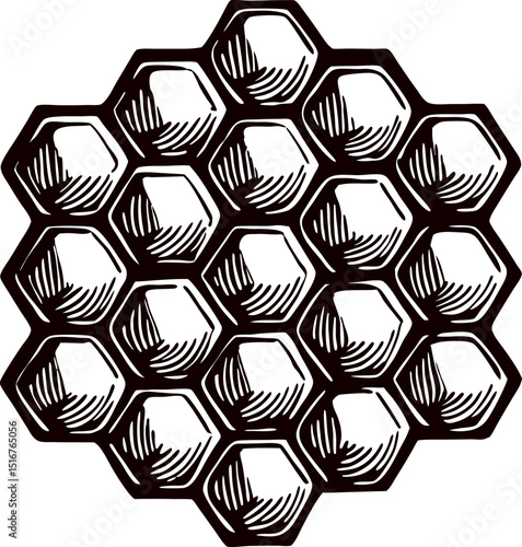 Vintage hand drawn honeycomb pattern with hexagonal cells isolated on white background, engraved nature illustration