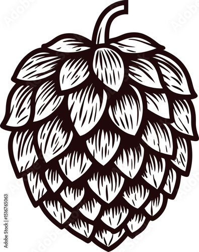 Vintage hand drawn hop cone illustration in black and white with detailed botanical engraving