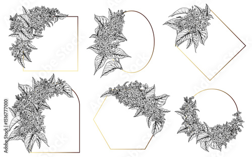 Vector set of 6 golden frames of various shapes with graphic lilac color. Collection of templates with delicate spring blossom. Decoration of flowers