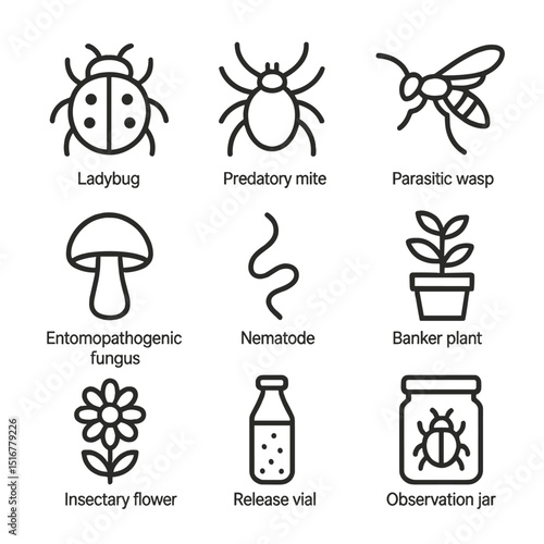 Biological Control Icons. Outline icon set of biological control agents: ladybug beetle, predatory mite, parasitic wasp,