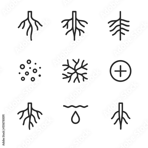 Root Development Icons. Outline icon set of root development: taproot, lateral root, root hairs, soil particles, mycorrhiza