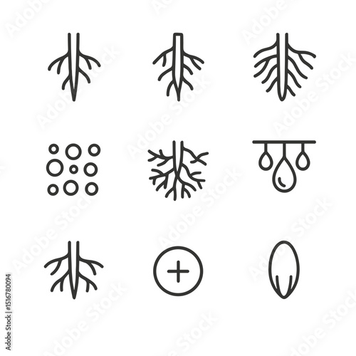 Root Development Icons. Outline icon set of root development: taproot, lateral root, root hairs, soil particles, mycorrhiza