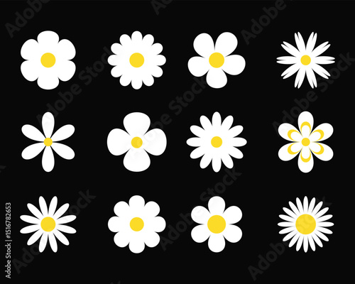 Flowers icon set. Spring flower vector set. white flowers collection. Daisy chamomile. vector illustration.