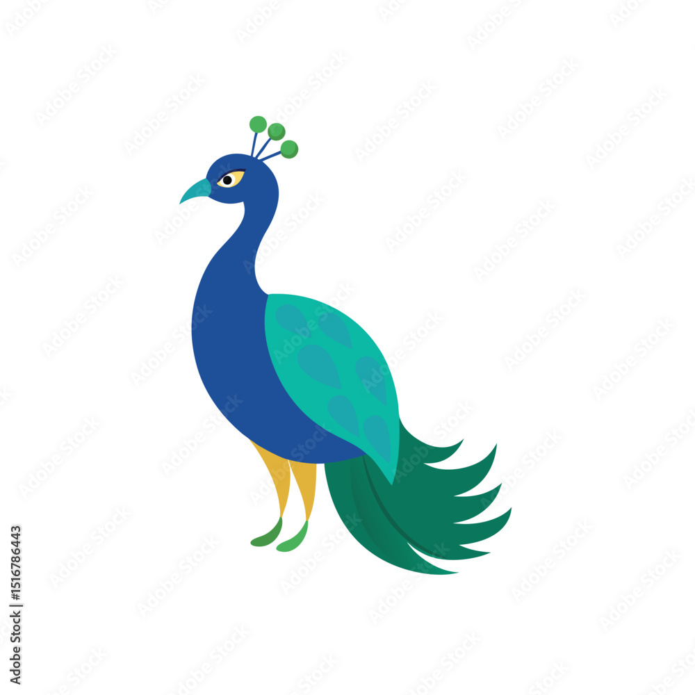 Fototapeta premium Peacock bird on white background