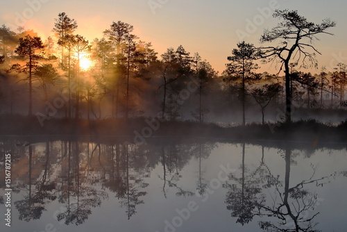 sunrise over the bog