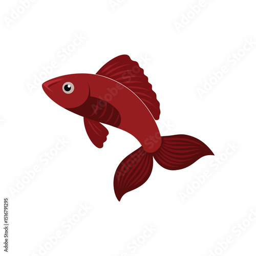 Guppy fish on white background