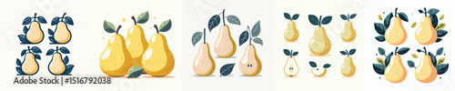 vector set of pears