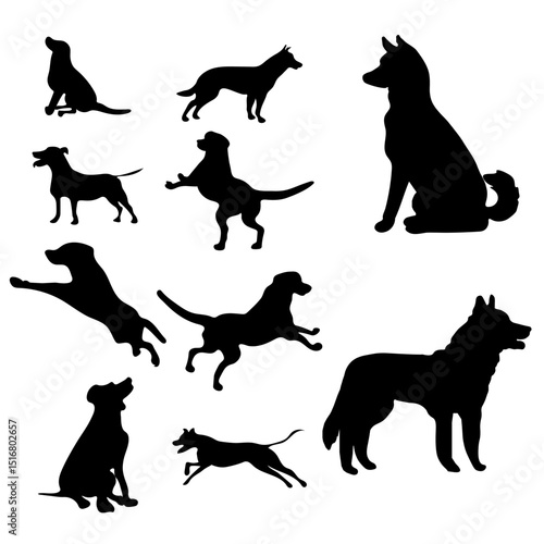 Set of 10 Hand Drawn Dog Vector File