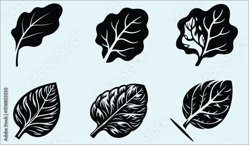Detailed spinach vegetable silhouette illustration for graphic design projects and creative artwork compositions