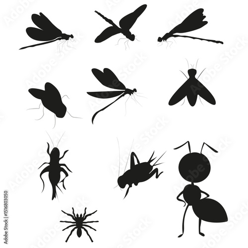 Set Of  Hand Drawn Grasshopper Vector Bundle